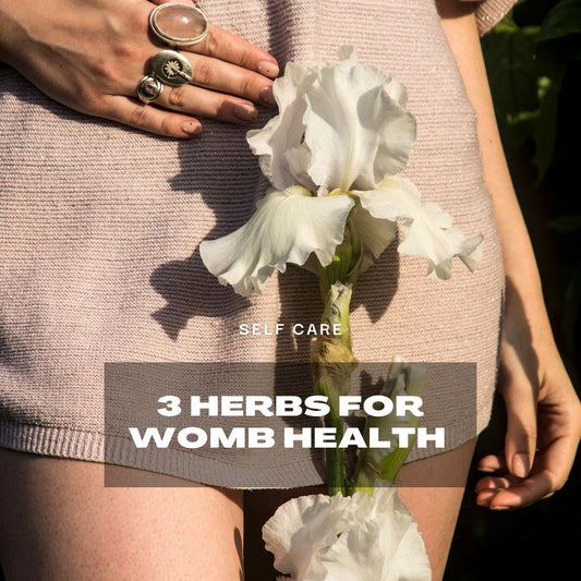 Herbs for Menstrual Cramps & Womb Health