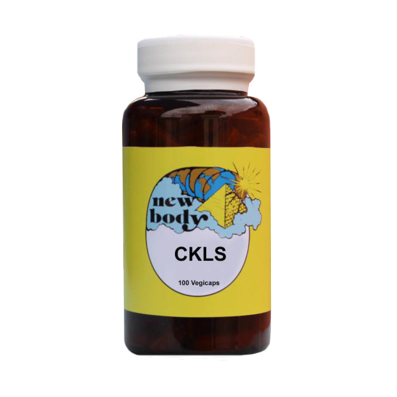 CKLS (Colon, Kidney, Liver, Spleen) by New Body