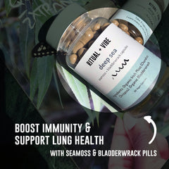 Herbal Supplement 2-Pack (Beauty Bomb & Seamoss Bladderwrack Duo)
